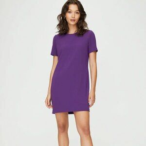 Aritzia mini dress - Patricio